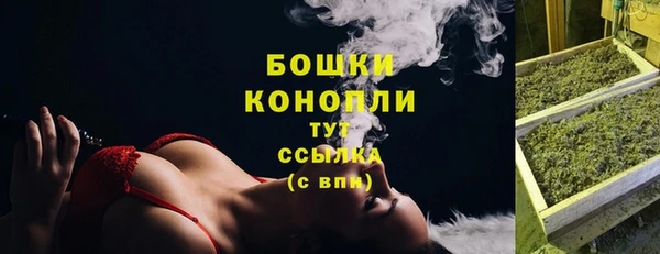 дживик Бородино