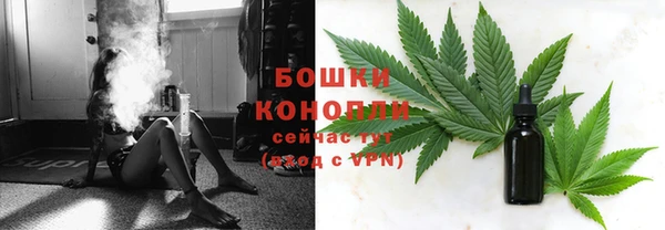 трава Бронницы