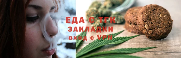 дживик Бородино