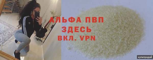 дживик Бородино