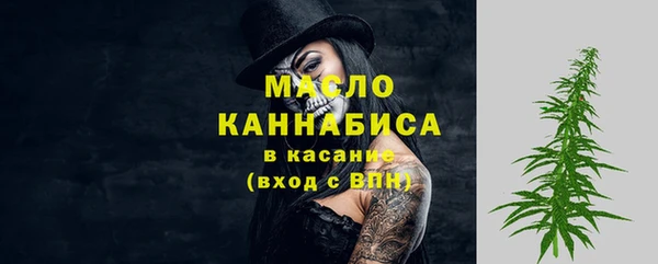 дживик Бородино
