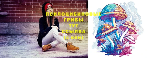 дживик Бородино