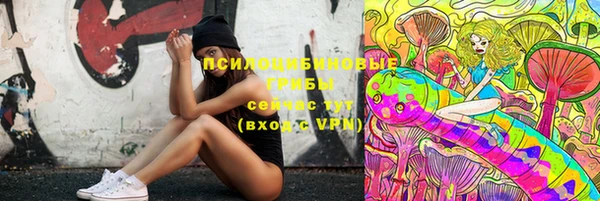 дживик Бородино
