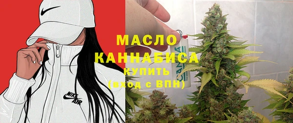 дживик Бородино