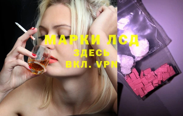 дживик Бородино