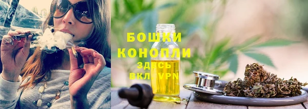 дживик Бородино